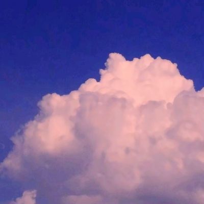 真正的突击队行动游戏下载